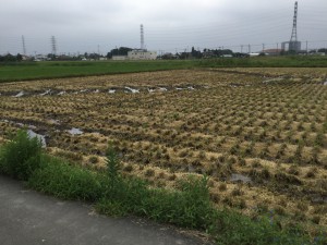 img_1069
