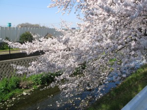 IMG_7463